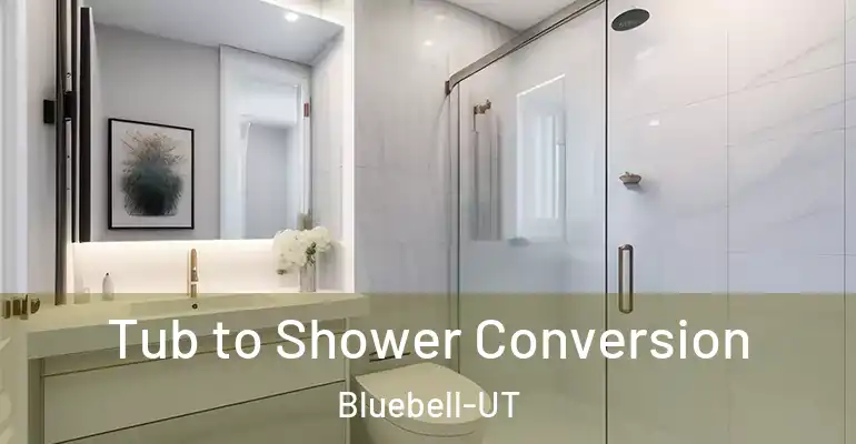 inner Bathroom imggen Tub to Shower Conversion Bluebell-UT