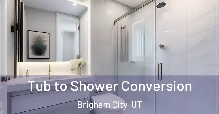 inner Bathroom imggen Tub to Shower Conversion Brigham City-UT