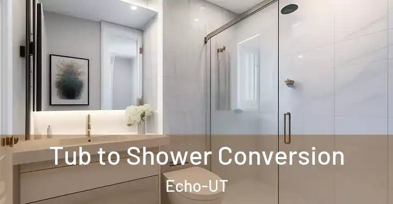 inner Bathroom imggen Tub to Shower Conversion Echo-UT