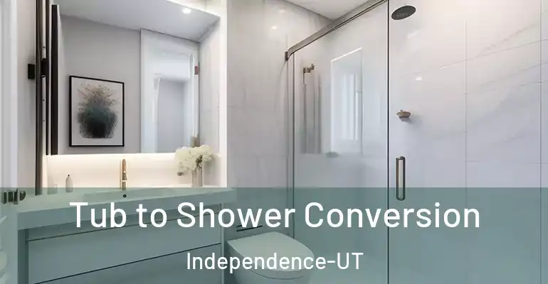 inner Bathroom imggen Tub to Shower Conversion Independence-UT