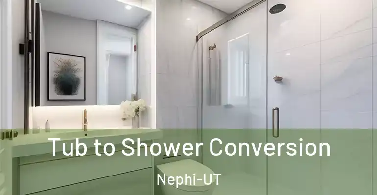 inner Bathroom imggen Tub to Shower Conversion Nephi-UT