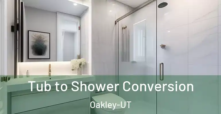 inner Bathroom imggen Tub to Shower Conversion Oakley-UT
