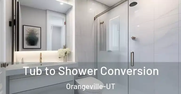inner Bathroom imggen Tub to Shower Conversion Orangeville-UT