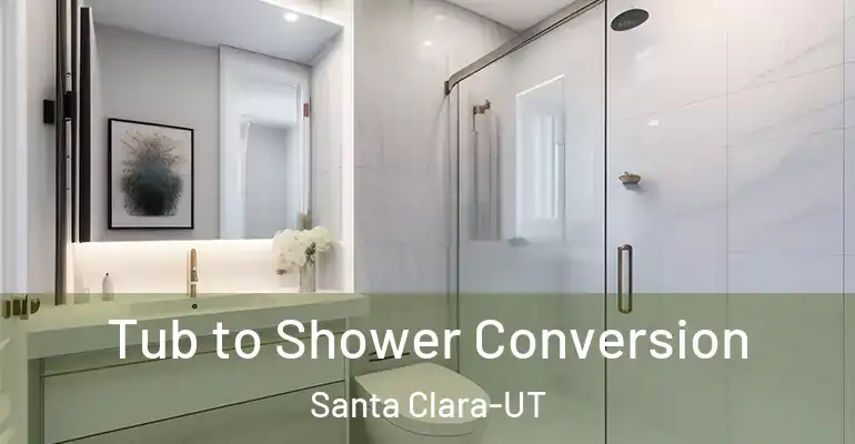 inner Bathroom imggen Tub to Shower Conversion Santa Clara-UT