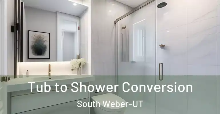 inner Bathroom imggen Tub to Shower Conversion South Weber-UT