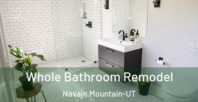 inner Bathroom imggen Whole Bathroom Remodel Navajo Mountain-UT