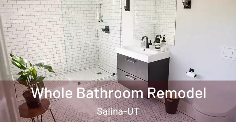 inner Bathroom imggen Whole Bathroom Remodel Salina-UT